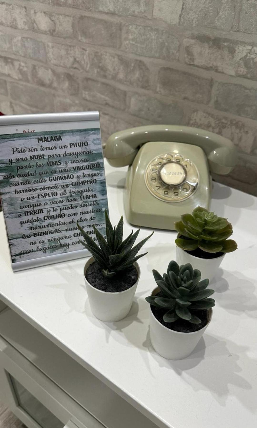 Appartement Premium La Biznaga Málaga